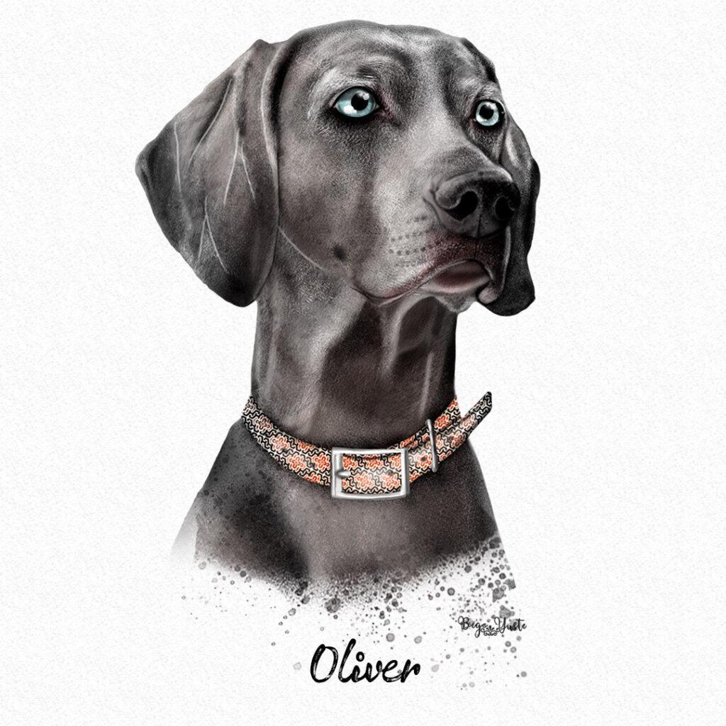 Ilustración de Oliver